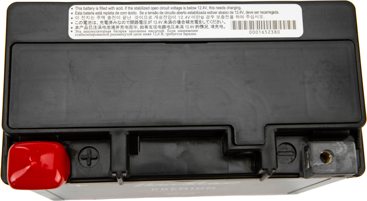 Gyz20h / Ytx20h Premium Battery - Purpose Built Motorcycles